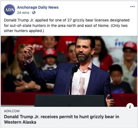 Donald Trump, Jr. has a license to kill grizzly bears in northern Alaska